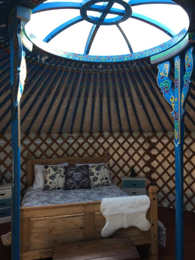 French Fields Luxury Glamping Original Mongolian Yurt Ξενοδοχείο Le-Vieux-Cerier Εξωτερικό φωτογραφία